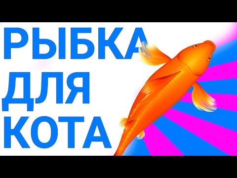 Видео: 💎Рыбка для кота и кошки , рыбки для кошек и котов | Видео для кошек