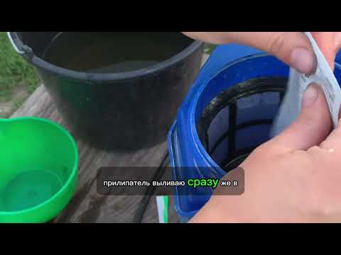 Видео: Профилактическая обработка хризантемы МУЛЬТИФЛОРЫ 