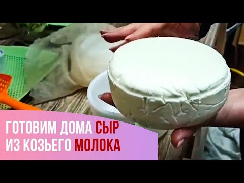 Видео: Козий сыр - просто и вкусно. Домашняя сыроварня.