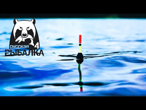 Видео: Русская Рыбалка 4  🌊🐳🌊 Russian Fishing 4