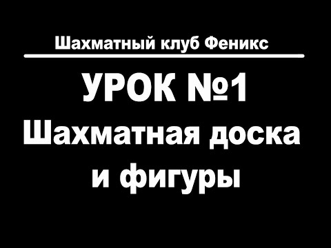 Видео: Шахматы для начинающих с нуля. Урок №1 Знакомство с шахматной доской и фигурами