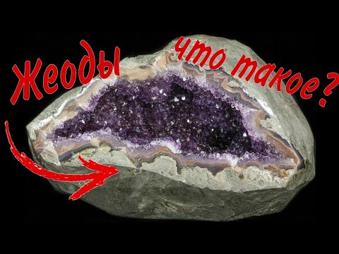 Видео: Жеода. Что такое?! Где найти!? Почему они так ценятся!?