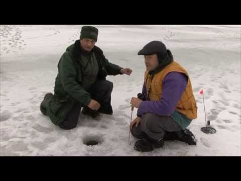 Видео: Щука, жерлица, зима.
