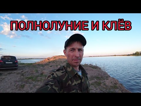 Видео: Нура (Токаревка). Рыбалка в полнолуние.