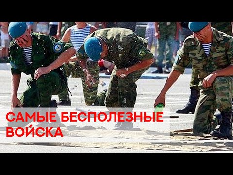 Видео: Все смеются над ВДВ, даже z-блогеры. Почему так?