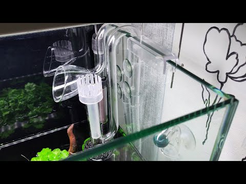 Видео: Аквариум 100 литров. Текущее состояние, обслуживание.