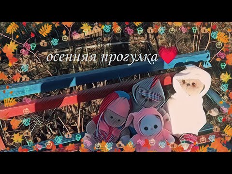 Видео: 🍁Осенняя прогулка🍂