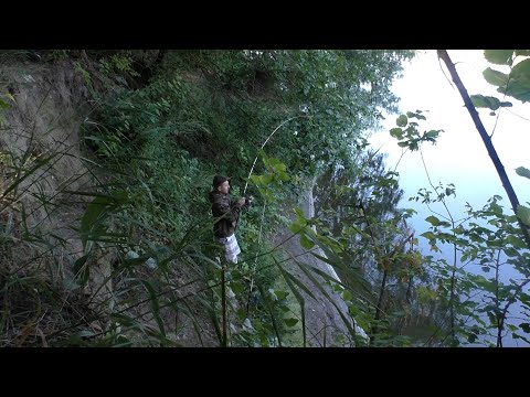 Видео: Рыбалка на карпа и крупного карася. Ловля карпа НА РЕКЕ ДНЕСТР