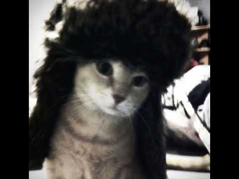 Видео: Житность-Хиточек speed up