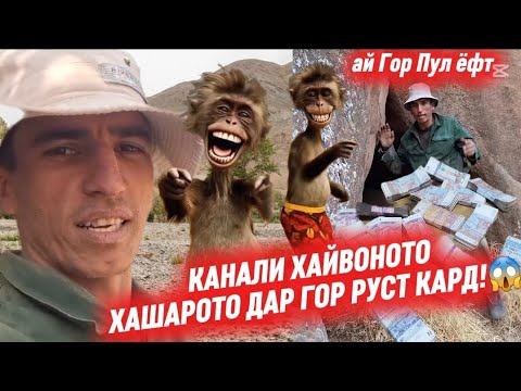 Видео: ИЗАТУЛЛОИ ЗАГЕРТУТИ  КАНАЛИ ХАЙВОНОТО ЗАШАРОТО ВИДИОИ НАВШ ТАМОШО КН ЛАЙКА БЧК ЧУРРА !👍🤝