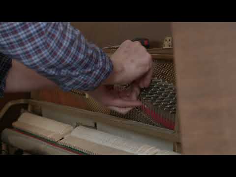 Видео: Электрокартон vs  Гофрокартон?