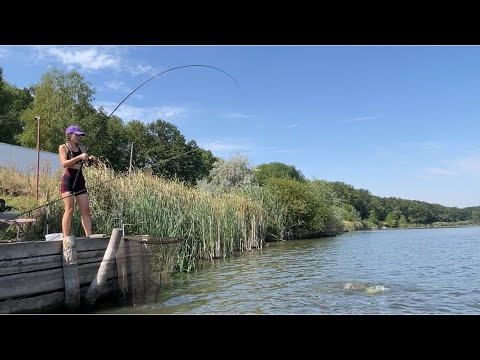 Видео: КАРПИ ТА АМУРИ ПОДУРІЛИ😱! КЛЮЮТЬ ДУПЛЕТ ЗА ДУПЛЕТОМ !