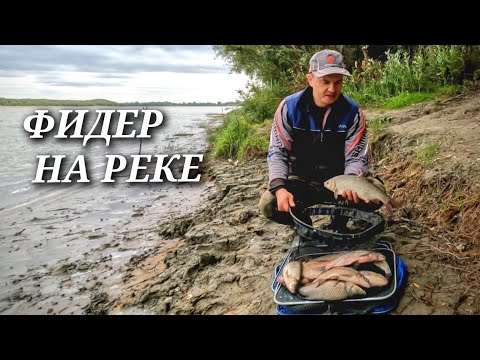 Видео: Рыбалка на ФИДЕР. Ловля леща и язя фидером на реке. Дунаев Инерт