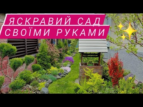 Видео: Прогулянка садом,похолодало,але рослини виглядають чудово🌟