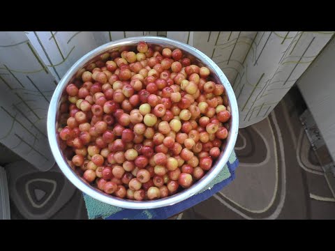 Видео: Джем из черешни с агар-агар без косточек