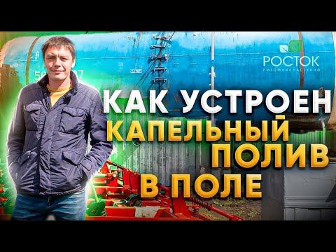 Видео: Как устроен капельный полив в поле? Питомник Росток.