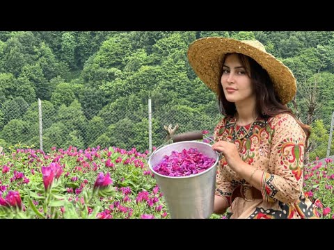 Видео: Приготовление жареной курицы с ароматными грибами на весенней природе деревни