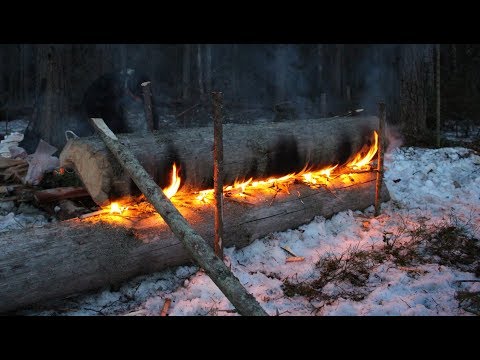 Видео: Ночевка в лесу в реальных условиях. Костер нодья. Вдали от людей.