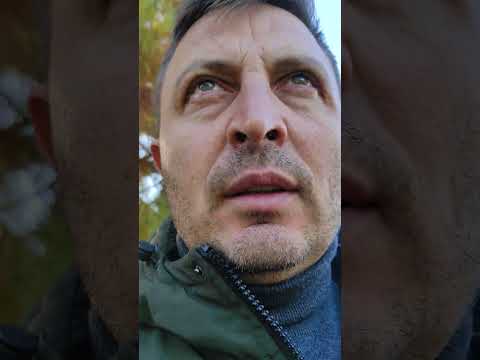 Видео: Выбор. 2 пути? Выбирают ли Бога слабые? Шакалий мир