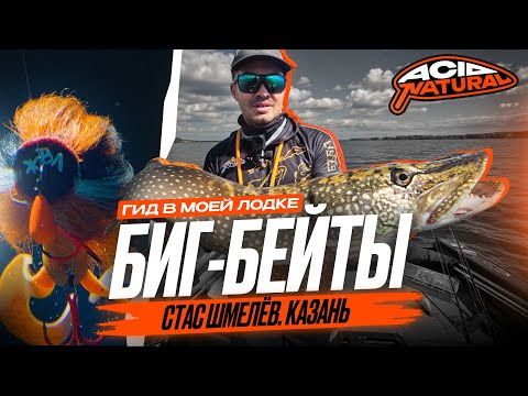 Видео: МЫШЬ ЖВЛ РАЗНЕСЛА КАЗАНСКУЮ ЩУКУ! Гид в моей лодке #2