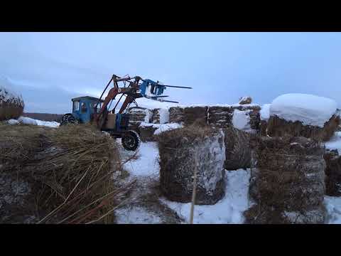 Видео: Пополняю запасы сена которое скормили. Сено подвожу.