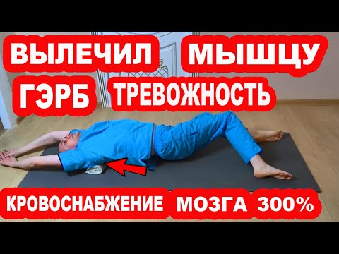 Видео: Вылечи эту мышцу и ГЭРБ не будет НИКОГДА! ТРЕВОЖНОСТЬ, Рефлюкс, Эзофагит, Изжога, ГАСТРИТ исчезнут!