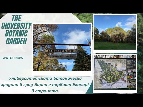 Видео: Университетский ботанический сад - Эко-парк Варна