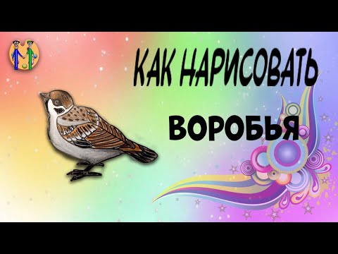 Видео: Как нарисовать воробья. Онлайн-школа рисования "Малевашки"