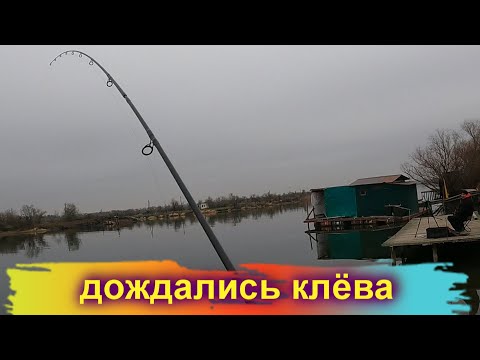 Видео: А ВЫХОД СУДАКА  был только под вечер / Днестр / рыбалка на хищника 27 ноября /  Зеленый остров
