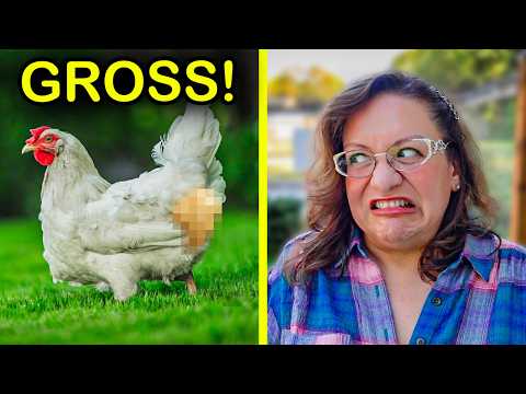 Видео: Ваша куриная задница вредна. Вот как это исправить!