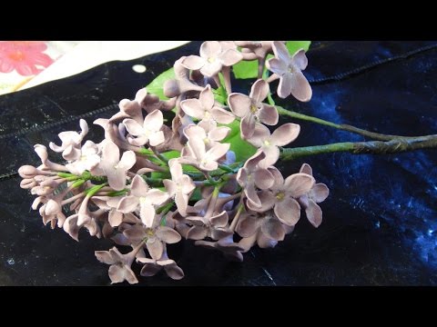 Видео: Ветка сирени из холодного фарфора