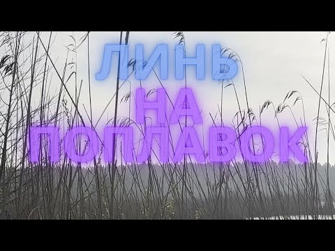 Видео: Мой первый линь! Рыбалка на поплавок.