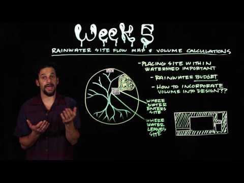 Видео: Обзор курса пермакультурного дизайна, неделя 5