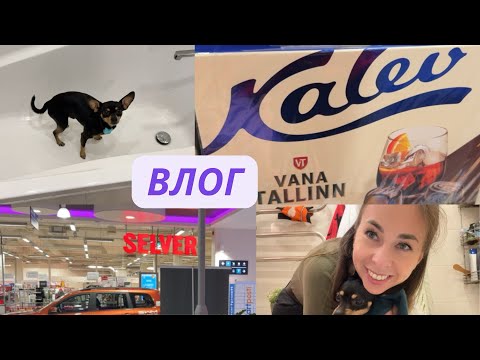 Видео: Вечер после работы | Переход на зимнее время | Цены в Kalev и Selver | Вкусный кофе и уют дома ☕✨