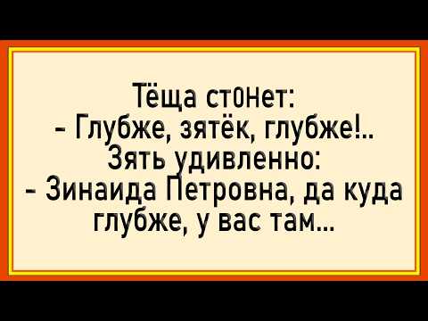 Видео: Как тёща с ночевкой осталась! Сборник свежих анекдотов! Юмор!
