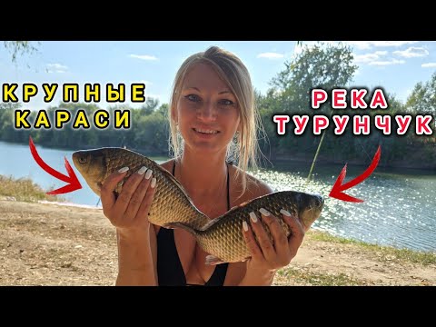 Видео: Ловля Карася на Турунчуке! Крупный Карась на мамалыгу.