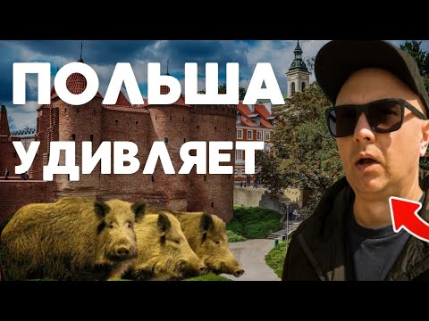 Видео: 25 вещей, которые до сих пор шокируют меня в Польше! ЭТО ВАС ТОЧНО УДИВИТ!