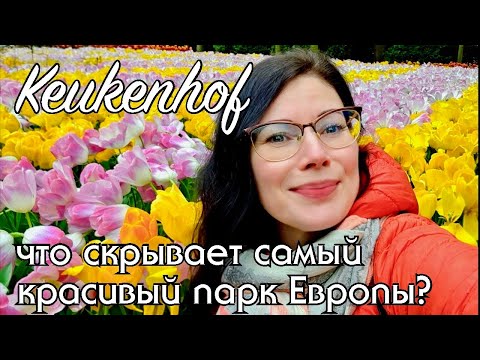 Видео: Семь миллионов цветов каждый год! Цветочный рай Нидерландов - стоит ли ехать в Кёкенхоф? #keukenhof