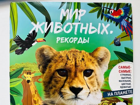 Видео: Собираю альбом PANINI Мир животных. Рекорды (3 часть)