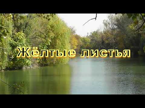 Видео: "Желтые листья" - Игорь Горбушин. Шымкент.