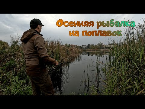 Видео: Осенняя рыбалка на поплавок