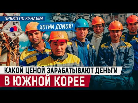 Видео: Почему трудовых мигрантов из Казахстана попросили покинуть Южную Корею?
