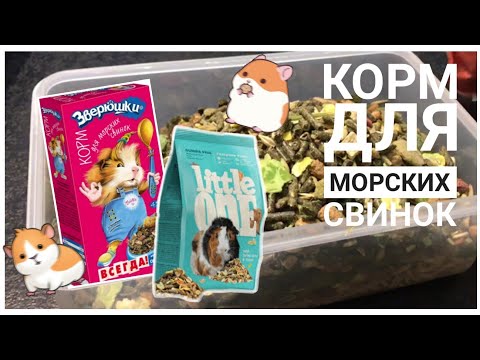 Видео: Смешиваю корм для морских свинок СВИНКИ с МОРЯ