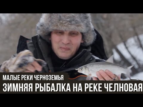 Видео: Зимняя рыбалка на реке Челновая / Малые реки Черноземья #5 / #10