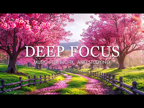 Видео: Эмбиентная учебная музыка для концентрации — Музыка для учебы, концентрации и памяти #820