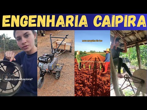 Видео: Роса Гамбиаррас. Импровизации землевладельца.