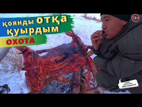 Видео: АҢШЫЛЫҚ. ҚОЯНДЫ ОТҚА ҚУЫРДЫМ. Как приготовить дикого зайца НА КОСТРЕ.