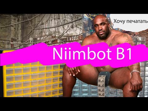 Видео: Niimbot B1 краткий обзор на принтер.