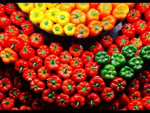 Видео: ЛУЧШЕ СПОСОБА НЕТ!ПОСЕВ ПЕРЦА НА РАССАДУ!