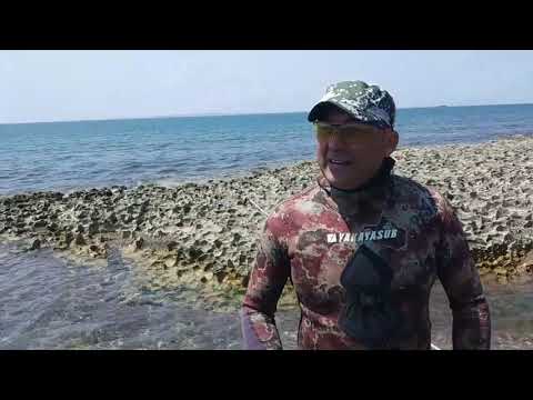 Видео: подводная охота в Баку